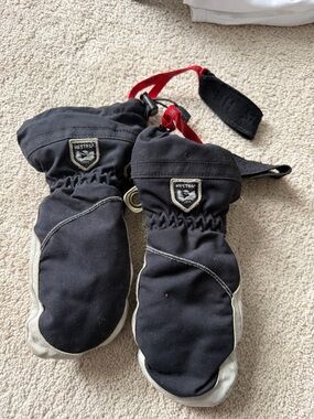 Hestra Army Leather Heli Ski Mitt
